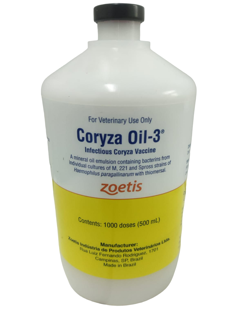 coryza chat amoxicilline